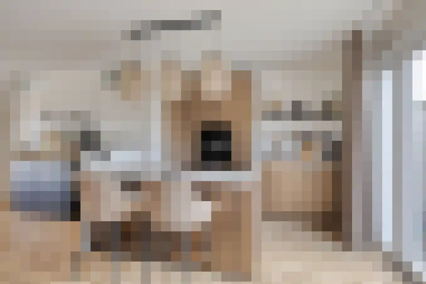 Ruimelsingel 75 Tilburg thumbnail 18