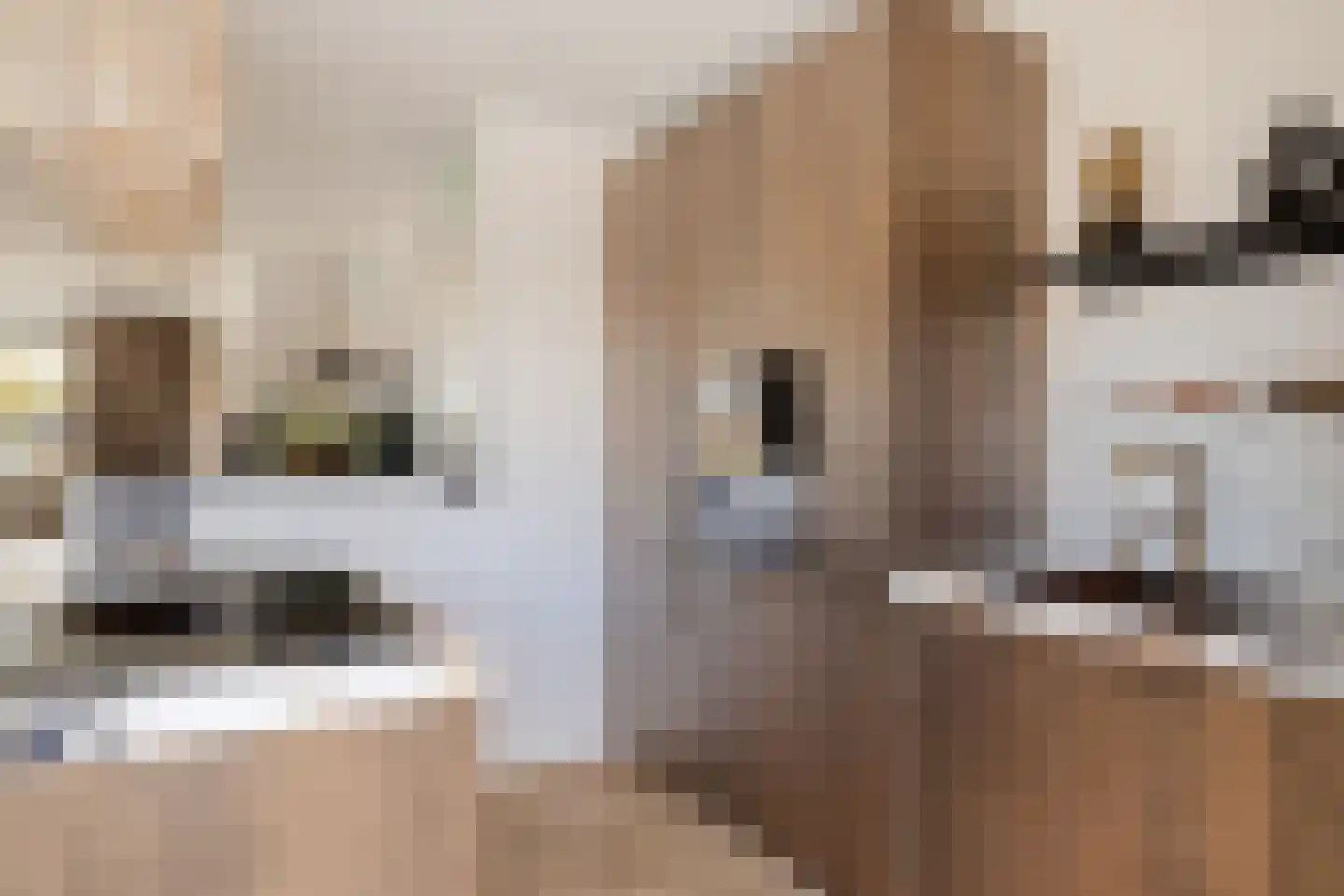 Ruimelsingel 75 Tilburg thumbnail 21