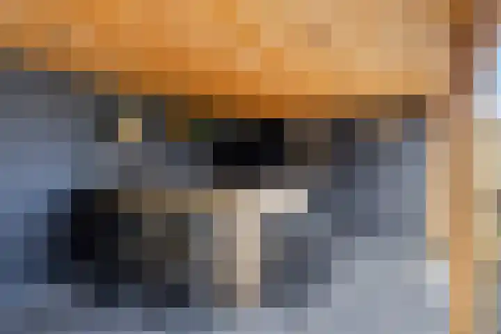 Ruimelsingel 75 Tilburg thumbnail 44