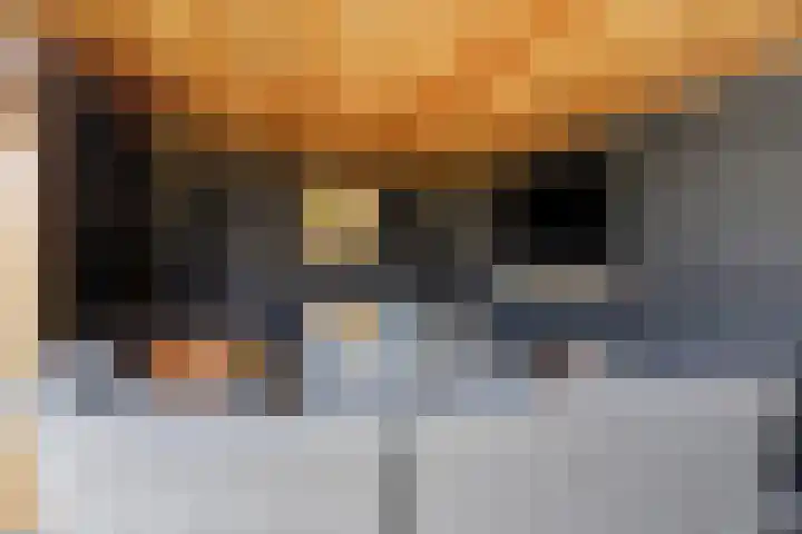 Ruimelsingel 75 Tilburg thumbnail 45