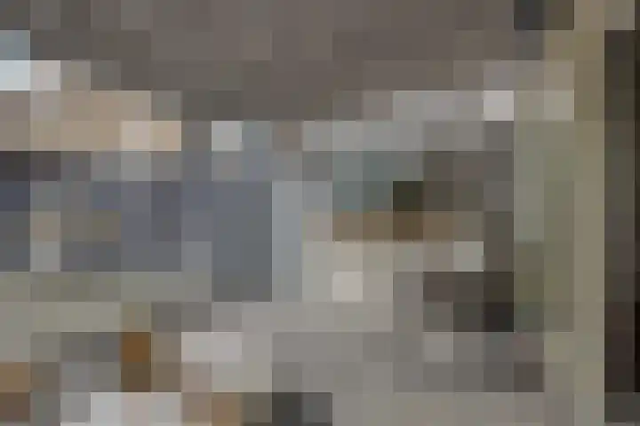 Ruimelsingel 83 Tilburg thumbnail 18