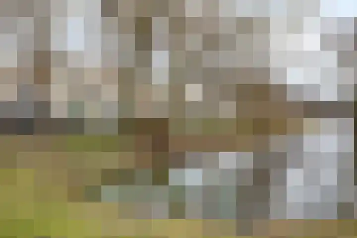 Ruimelsingel 83 Tilburg thumbnail 41