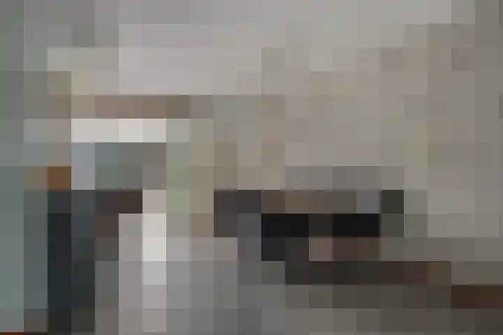Ruimelsingel 83 Tilburg thumbnail 9