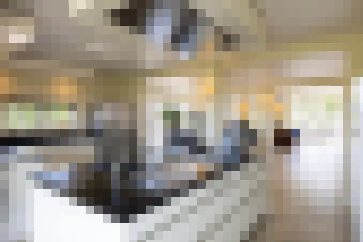 Ruimelsweg 10 Hierden thumbnail 19