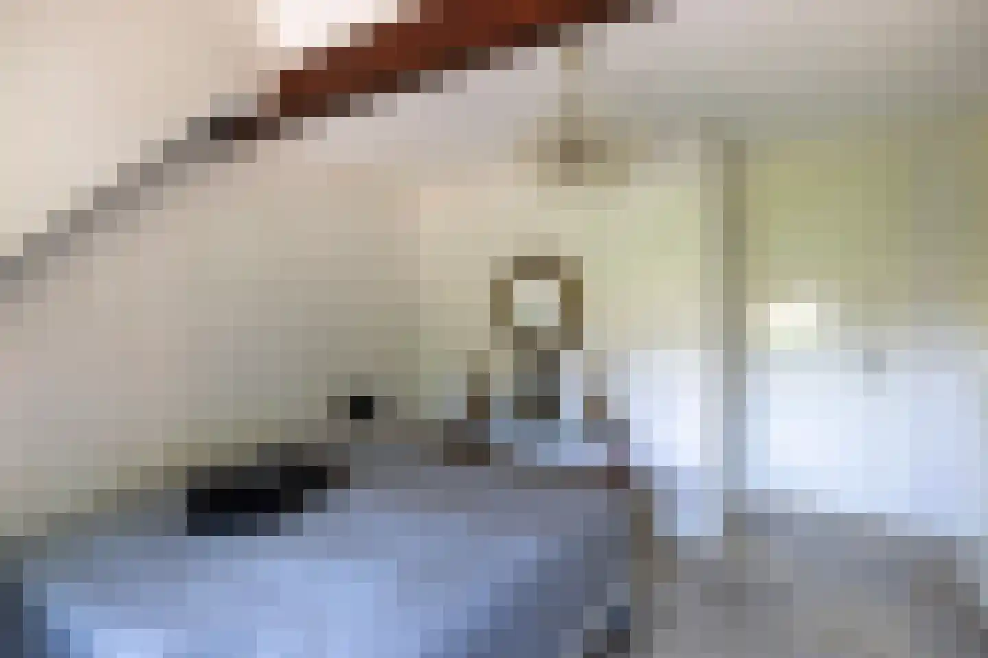 Ruimelsweg 10 Hierden thumbnail 39