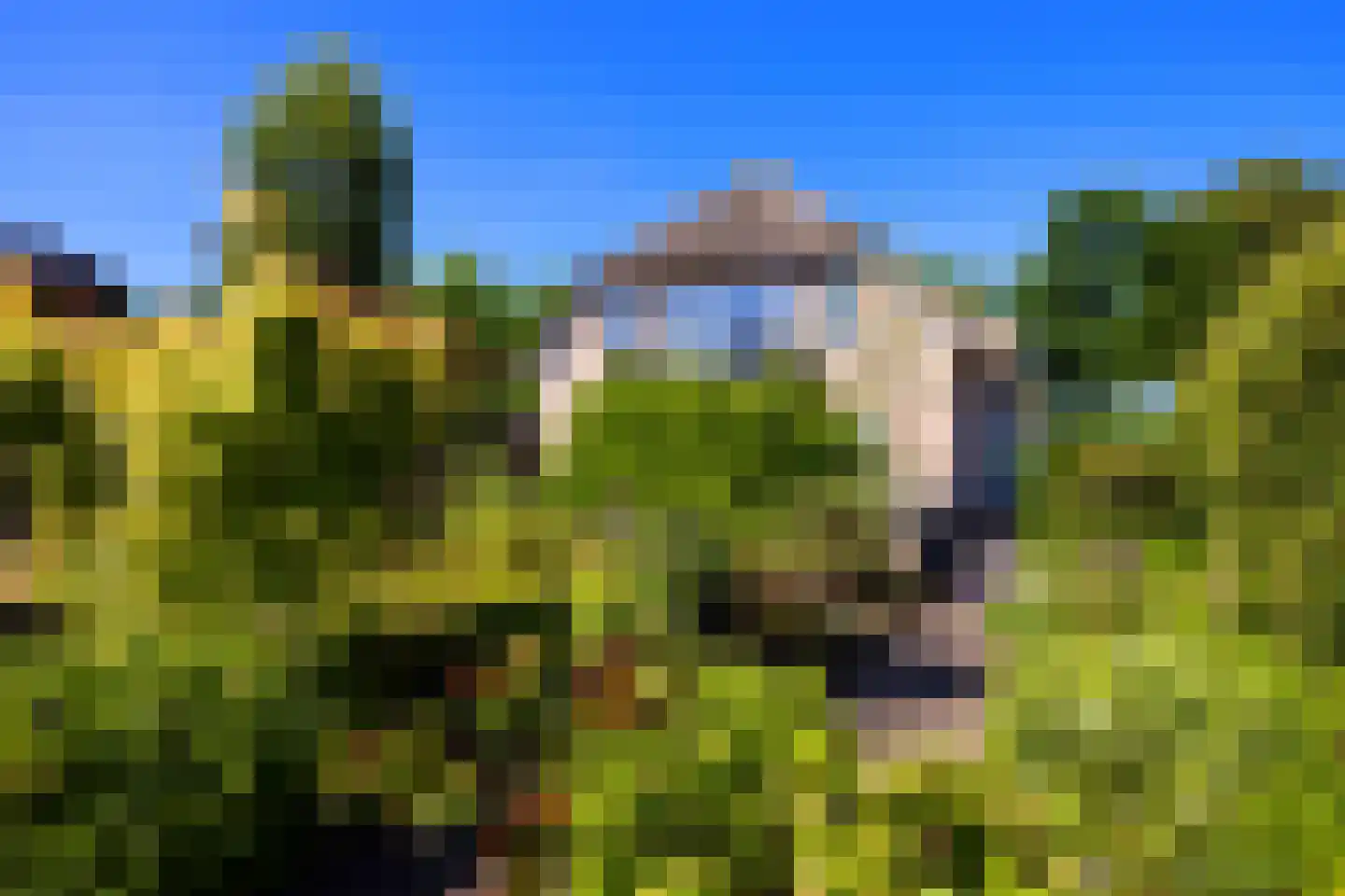 Ruimelsweg 10 Hierden thumbnail 5
