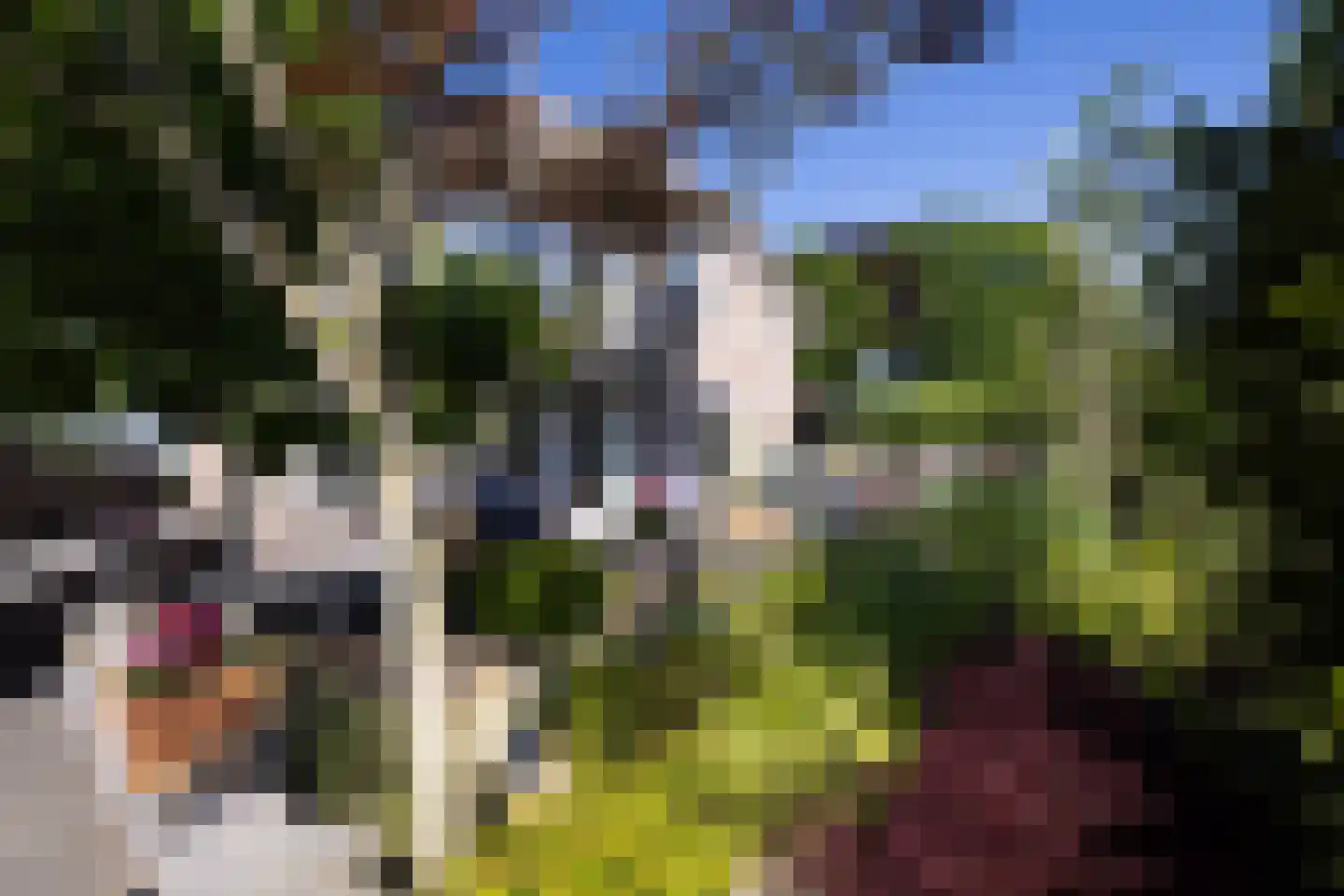 Ruimelsweg 10 Hierden thumbnail 61