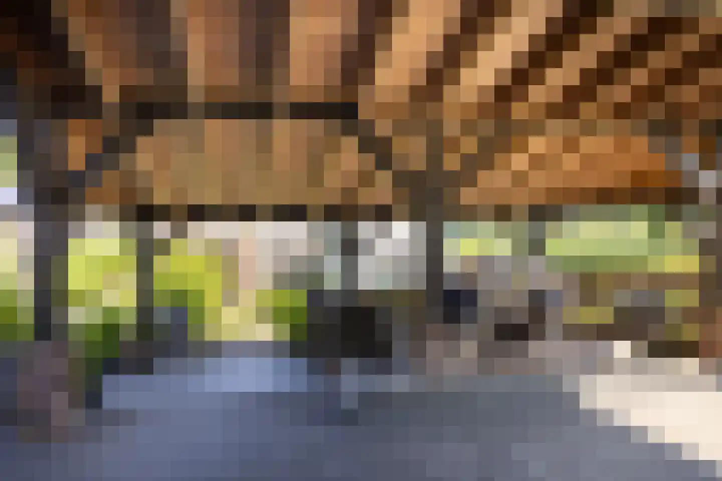 Ruimelsweg 10 Hierden thumbnail 66