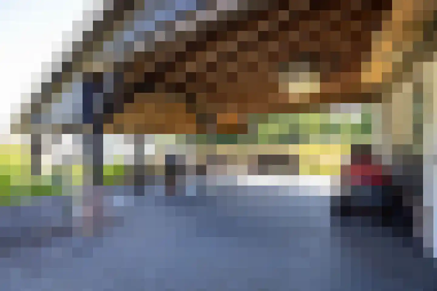 Ruimelsweg 10 Hierden thumbnail 67
