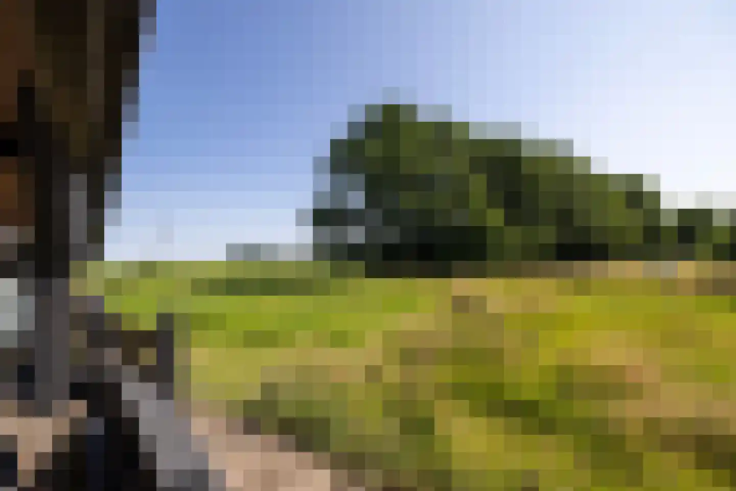 Ruimelsweg 10 Hierden thumbnail 68