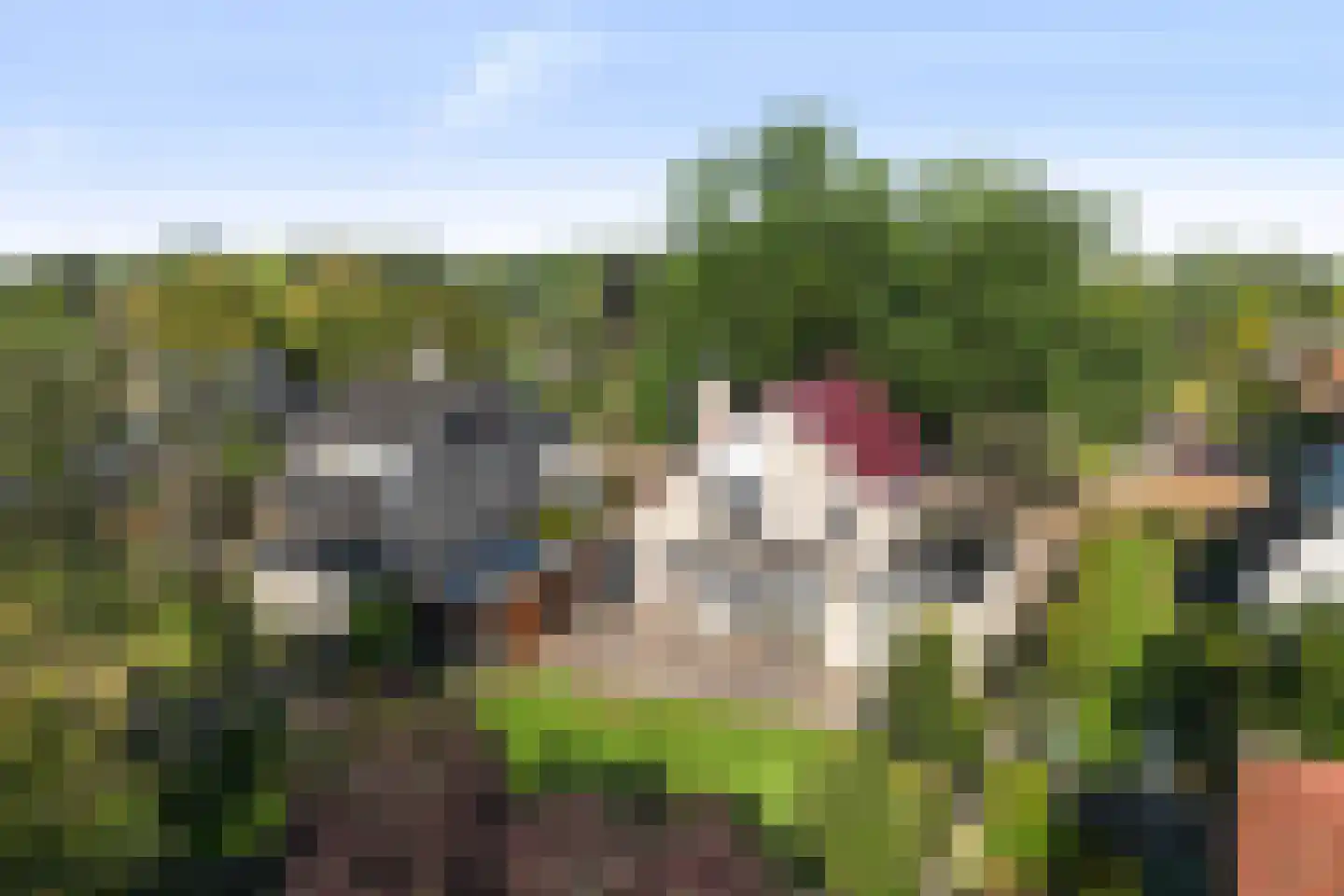 Ruimersdijk 20 Diepenheim thumbnail 37