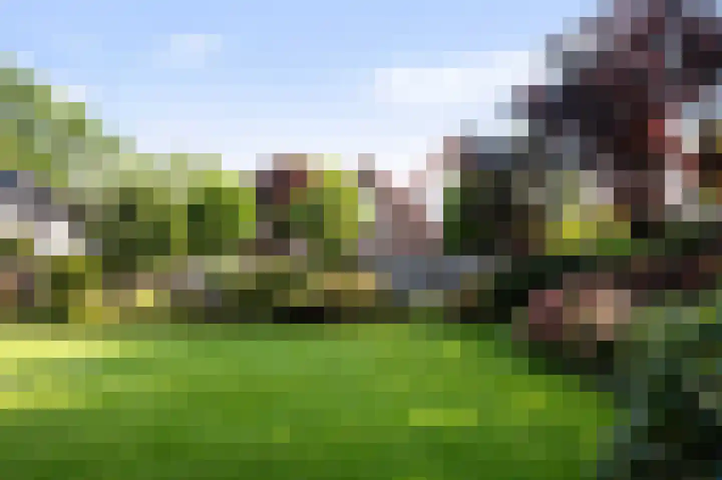 Ruimersdijk 20 Diepenheim thumbnail 5