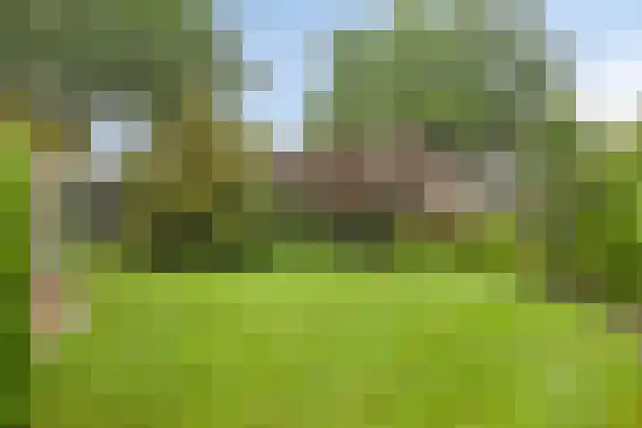 Ruimersdijk 21 Diepenheim thumbnail 32