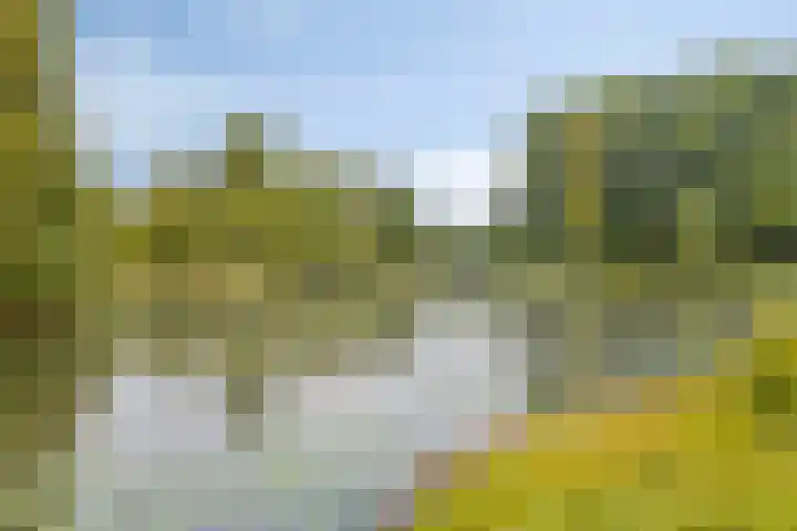 Ruimersdijk 21 Diepenheim thumbnail 33
