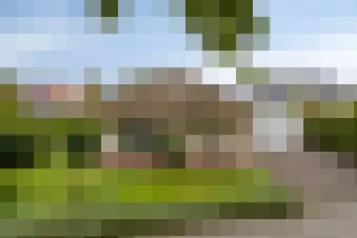 Ruimersdijk 21 Diepenheim thumbnail 4