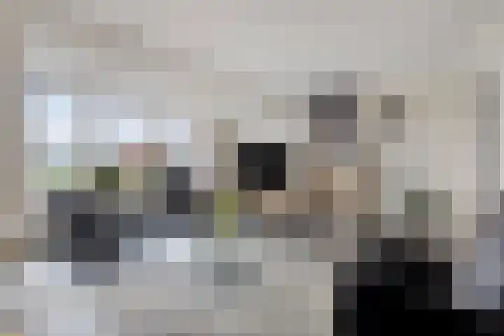 Ruimoord 17 Zetten thumbnail 10