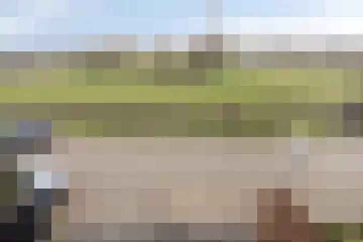 Ruimoord 17 Zetten foto 2