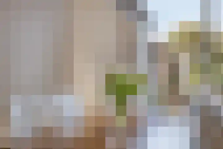 Ruimoord 17 Zetten thumbnail 20