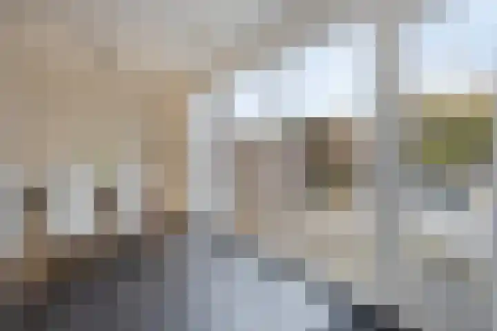 Ruimoord 17 Zetten thumbnail 22