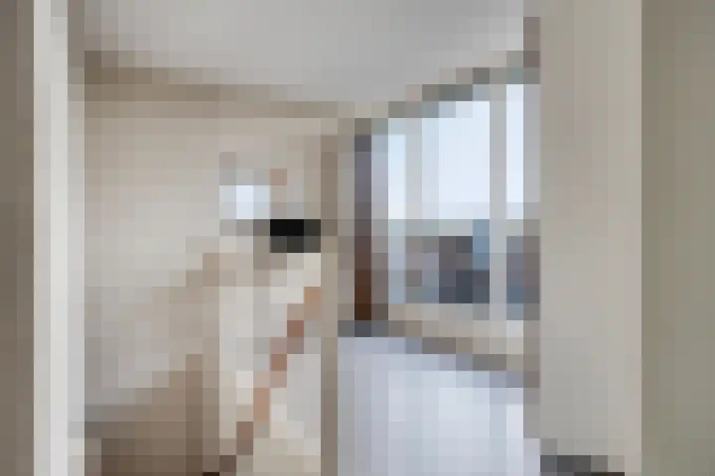 Ruimoord 17 Zetten thumbnail 31