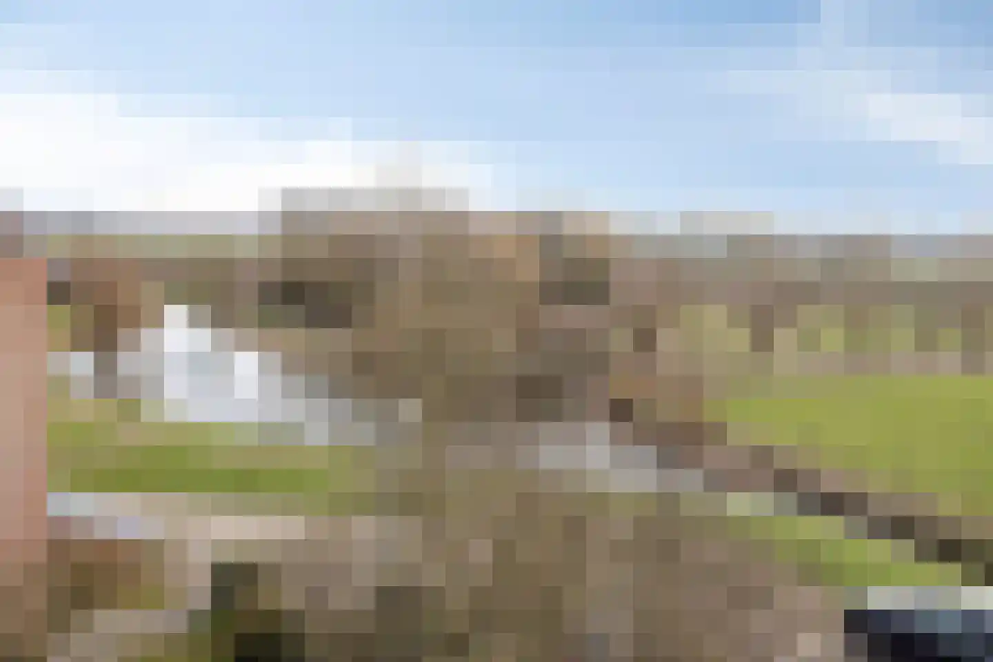 Ruimoord 17 Zetten thumbnail 35