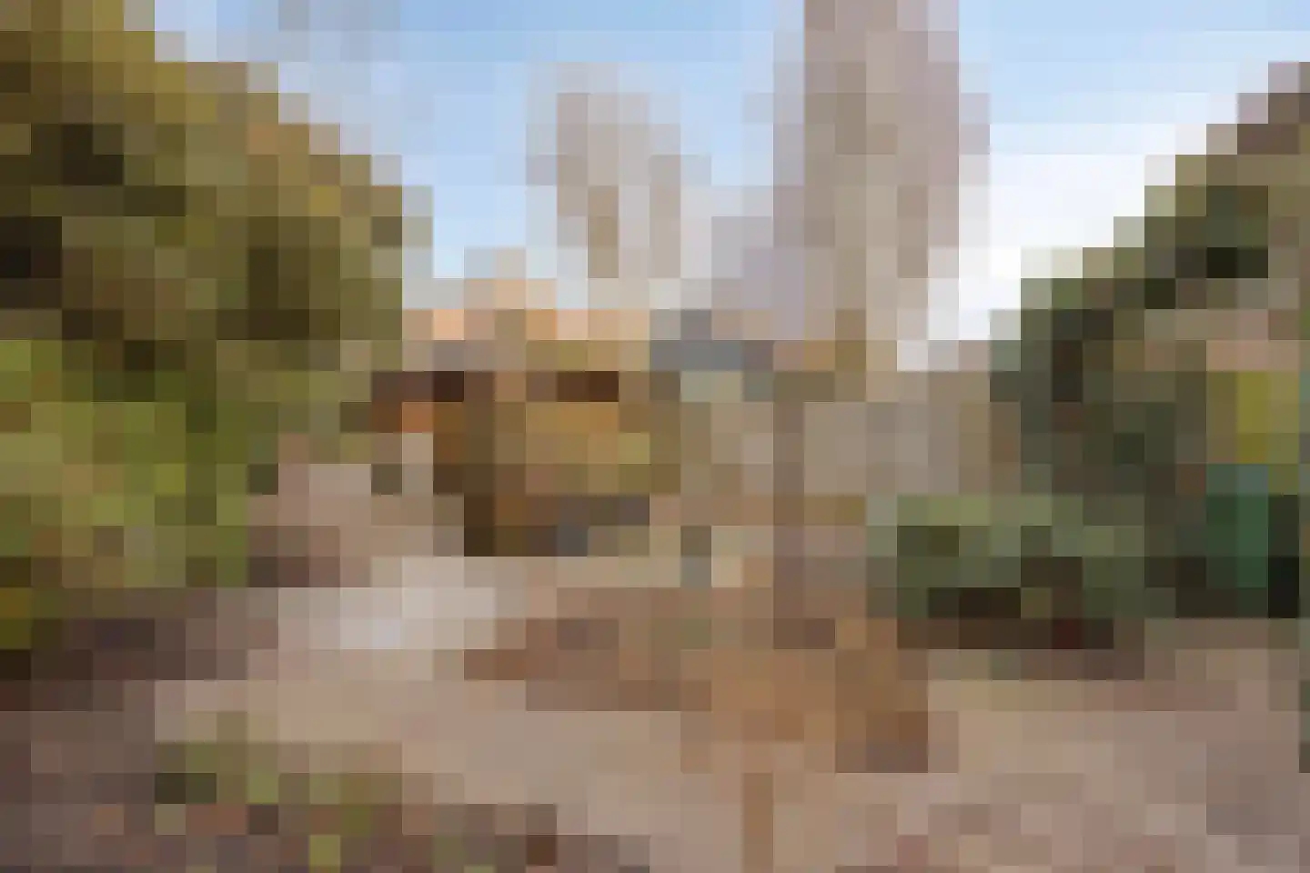 Ruimoord 17 Zetten thumbnail 37