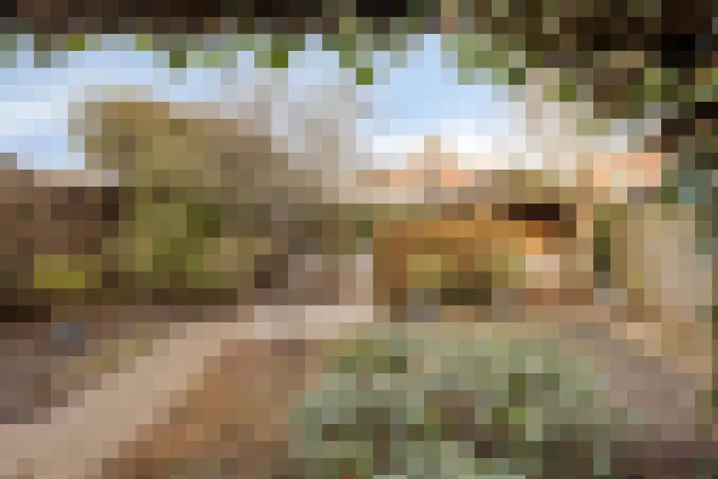 Ruimoord 17 Zetten thumbnail 38