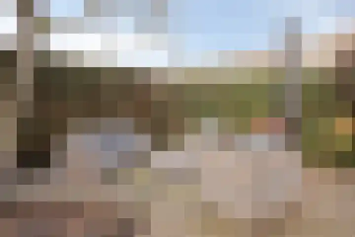 Ruimoord 17 Zetten thumbnail 39