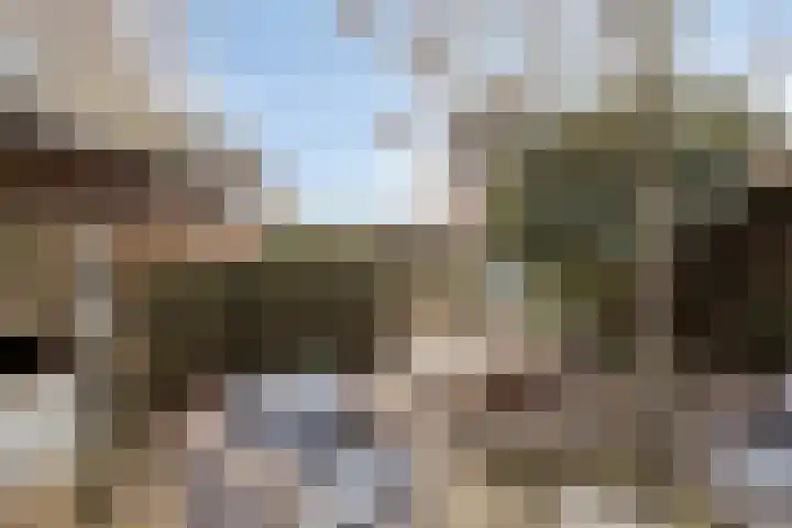 Ruimoord 17 Zetten thumbnail 41