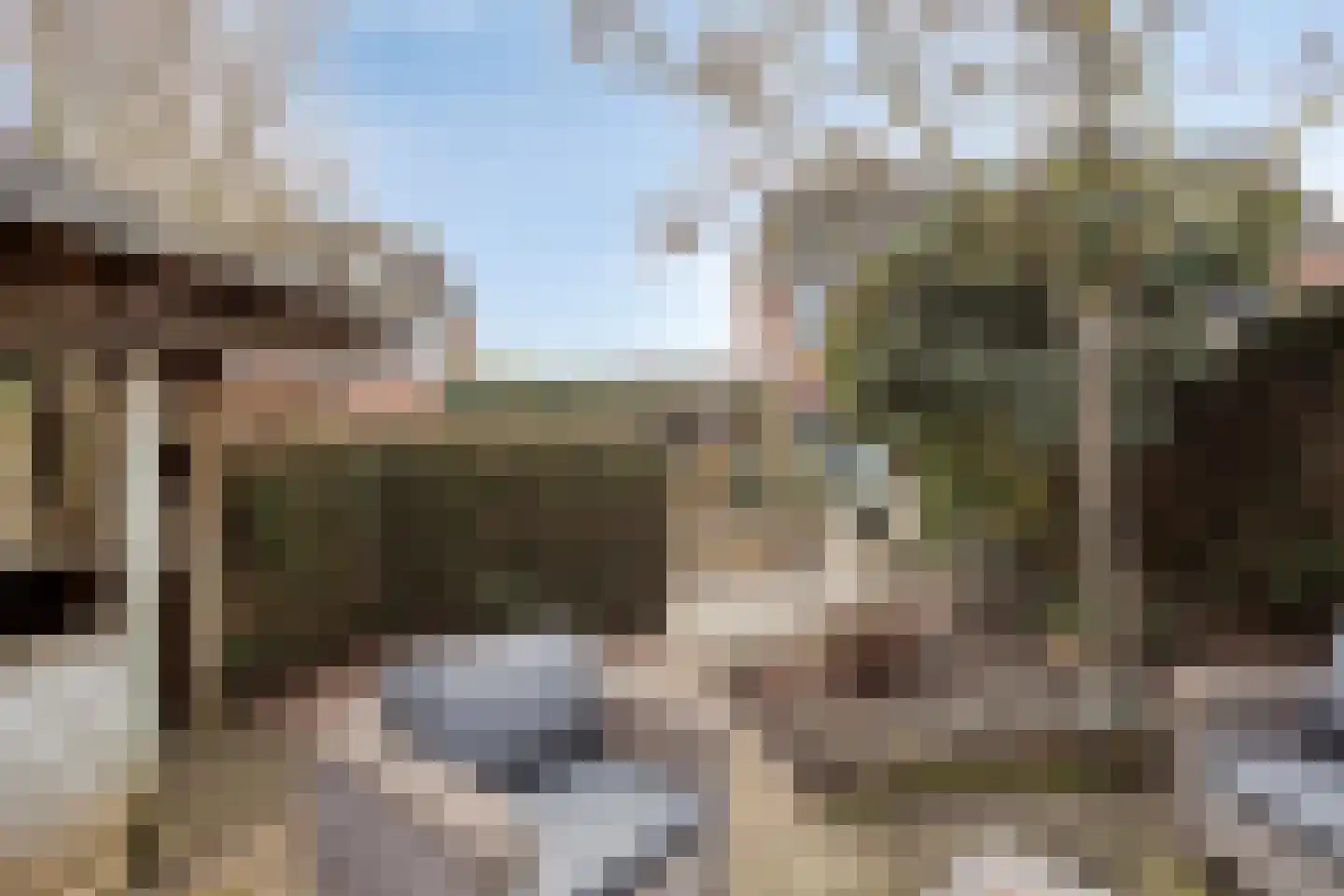 Ruimoord 17 Zetten thumbnail 41