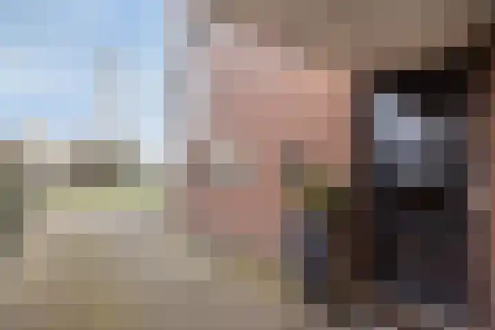 Ruimoord 17 Zetten thumbnail 43