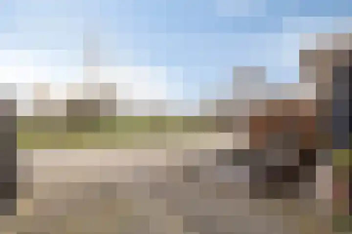 Ruimoord 17 Zetten thumbnail 44