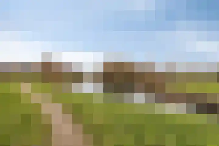 Ruimoord 17 Zetten thumbnail 45