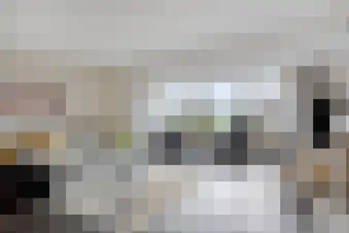 Ruimoord 17 Zetten thumbnail 9