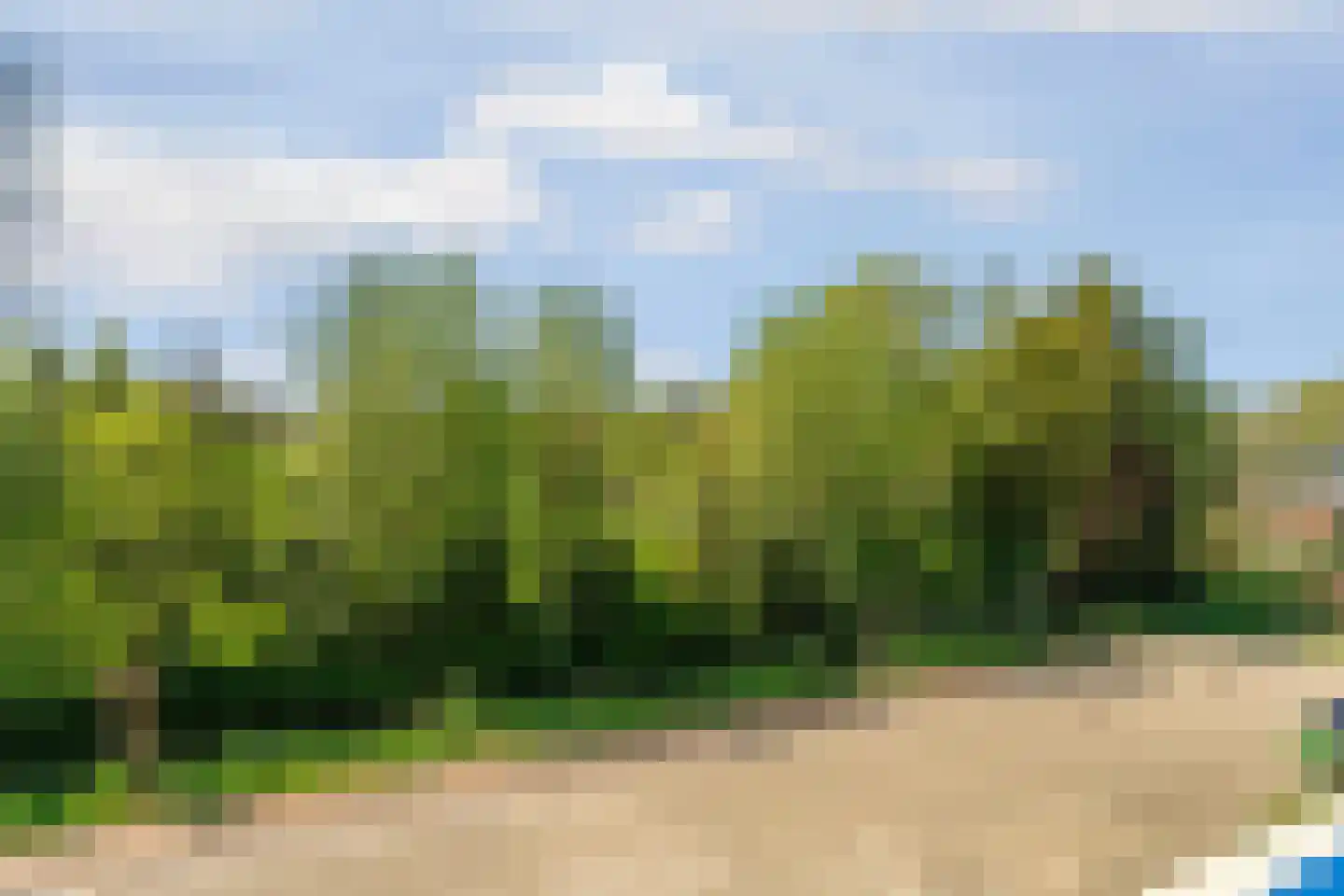 Ruimoord 7 Zetten thumbnail 49