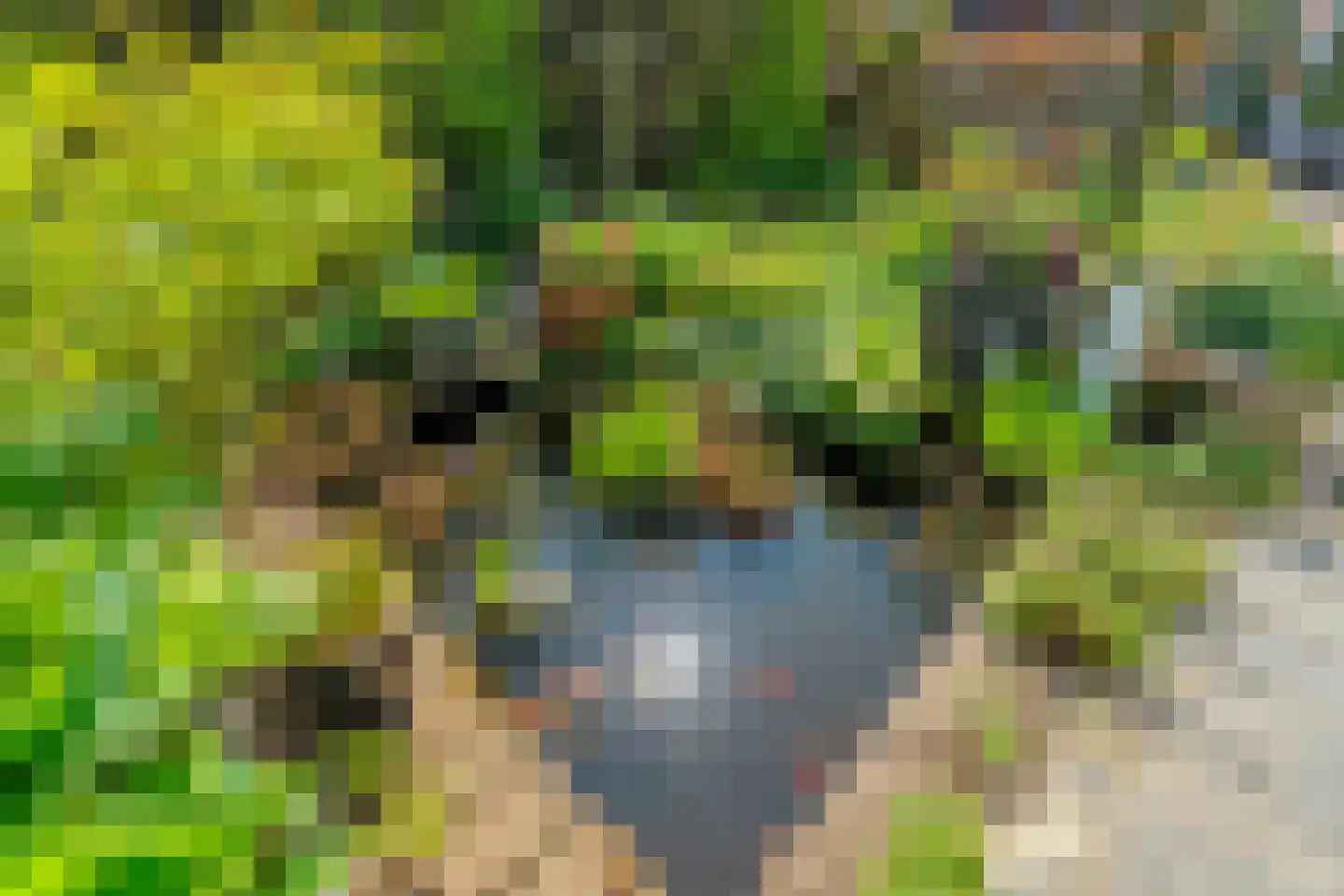 Ruimoord 7 Zetten thumbnail 59