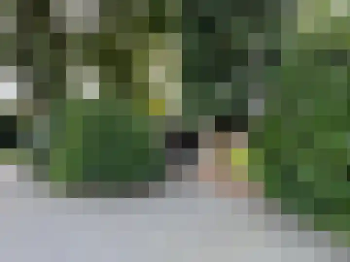 Ruimsloot 10 Stieltjeskanaal thumbnail 15