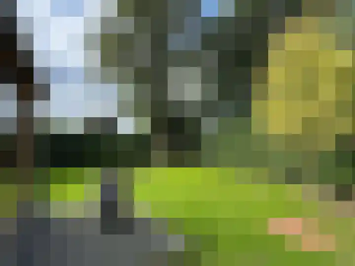 Ruimsloot 10 Stieltjeskanaal thumbnail 22