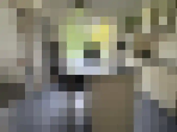 Ruimsloot 10 Stieltjeskanaal thumbnail 35