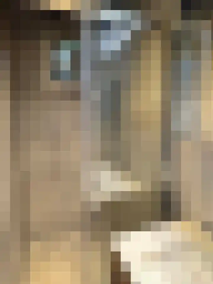 Ruimsloot 10 Stieltjeskanaal thumbnail 39