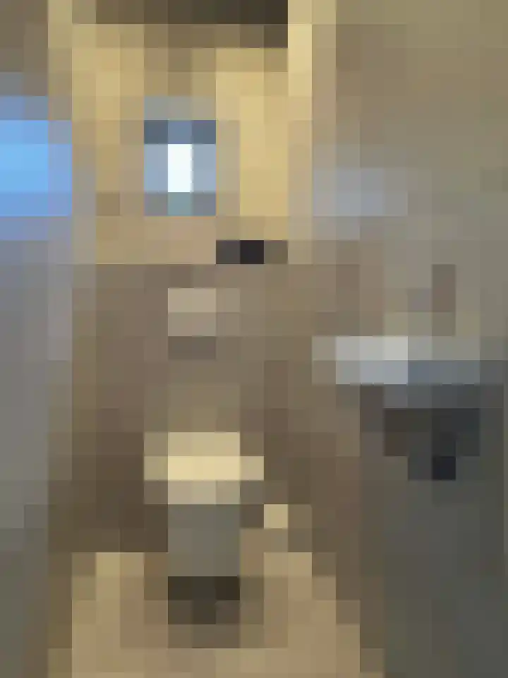 Ruimsloot 10 Stieltjeskanaal thumbnail 42