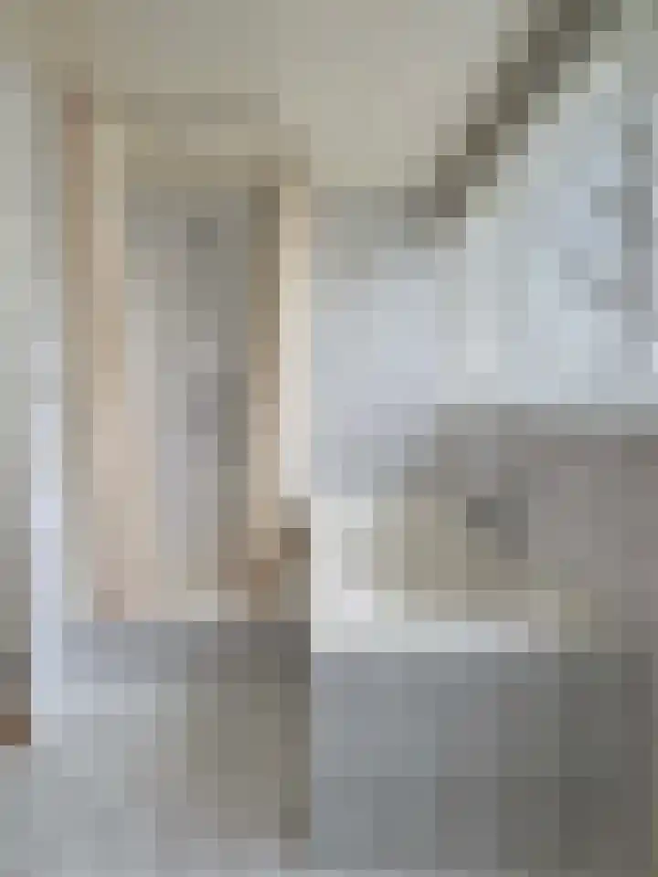 Ruimsloot 10 Stieltjeskanaal thumbnail 46