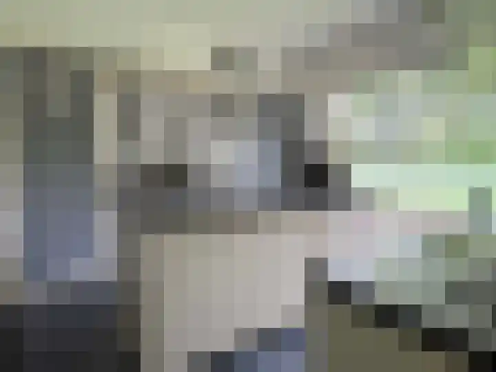Ruimsloot 10 Stieltjeskanaal thumbnail 5