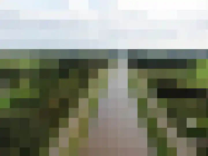 Ruimsloot 10 Stieltjeskanaal thumbnail 53