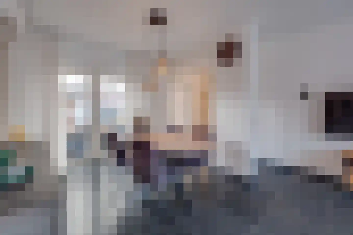Ruimstraat 2 Maasbracht thumbnail 15
