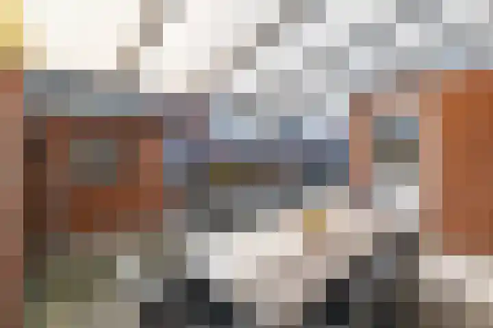 Ruimstraat 2 Maasbracht thumbnail 40