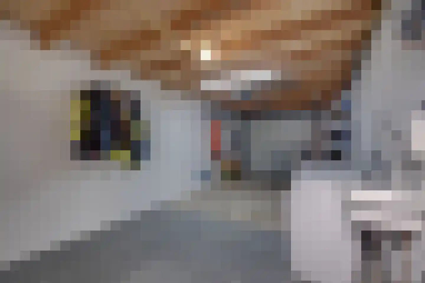 Ruimstraat 2 Maasbracht thumbnail 44
