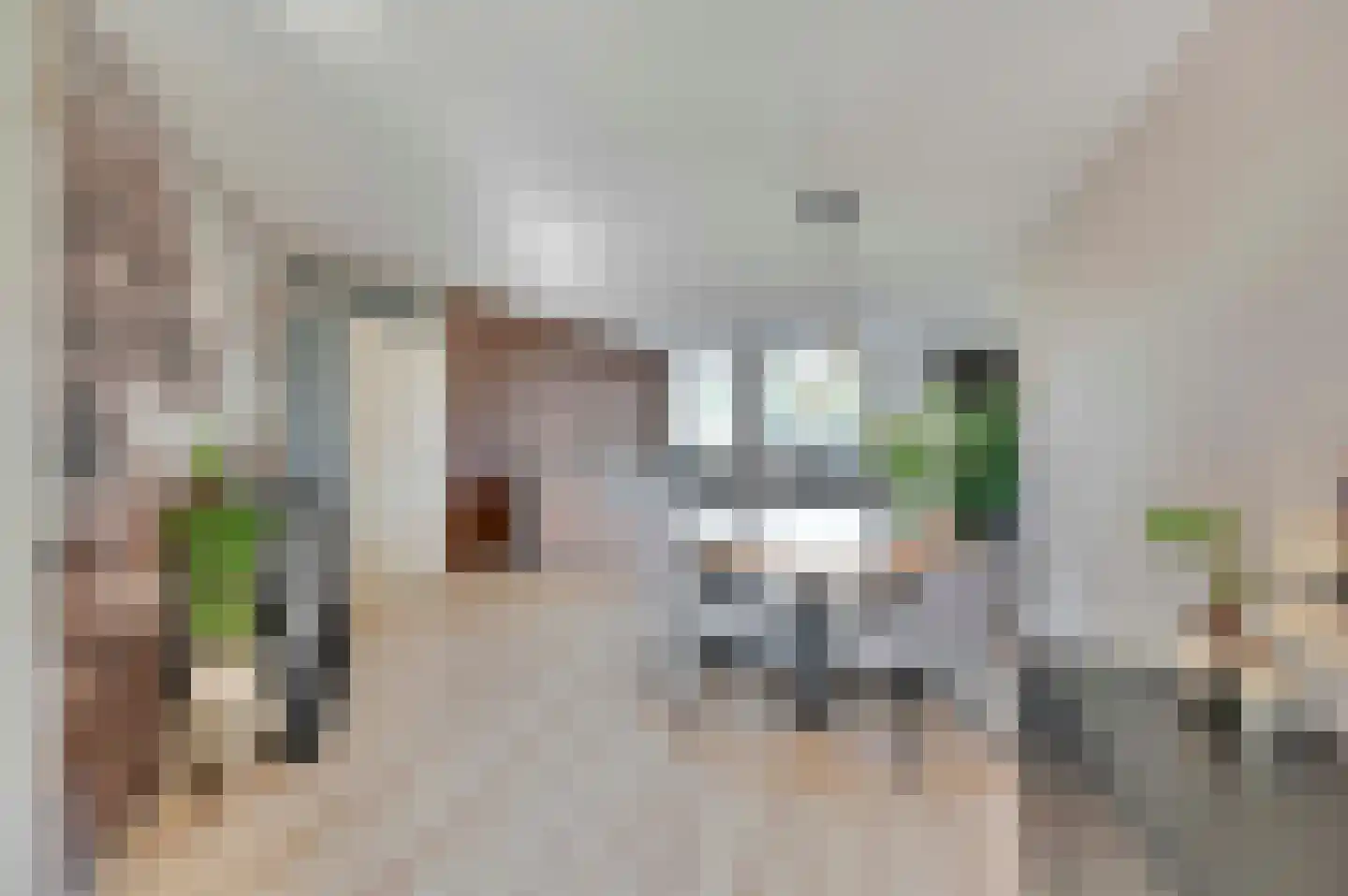 Ruimtebaan 102 Zoetermeer thumbnail 13