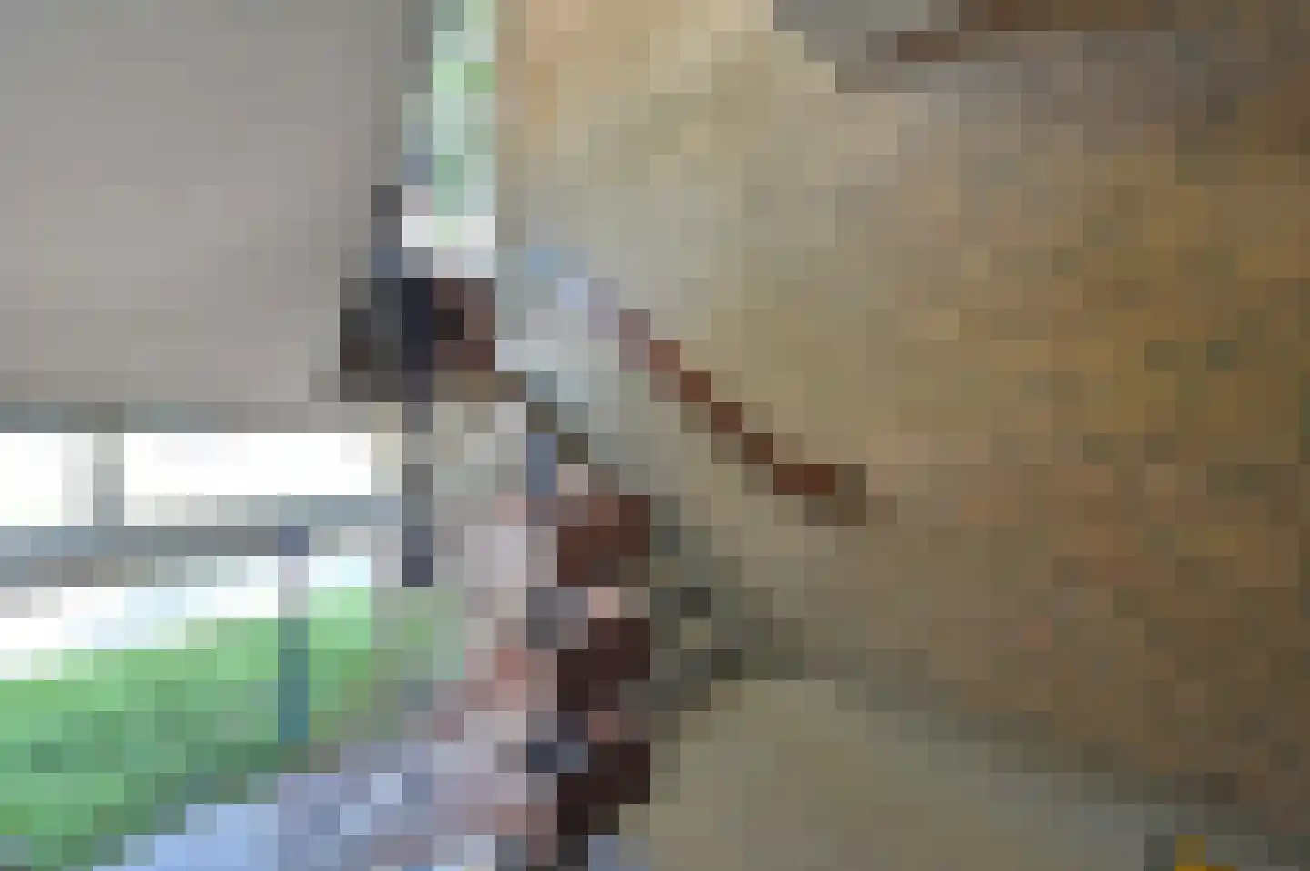 Ruimtebaan 102 Zoetermeer thumbnail 34