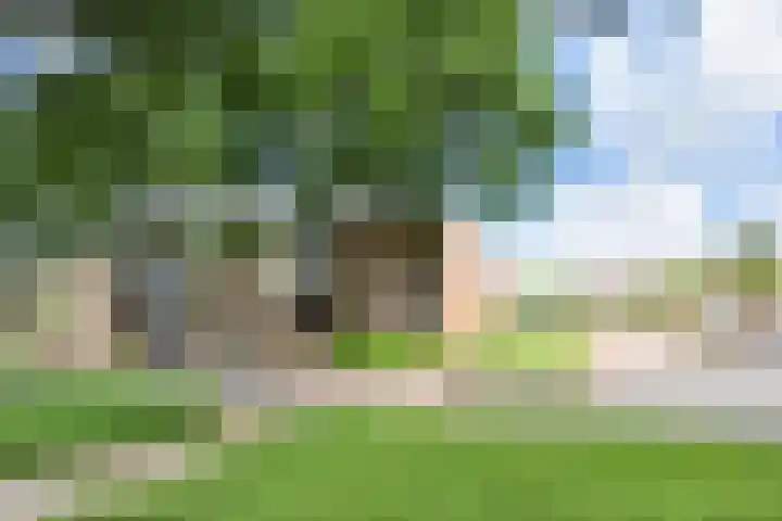 Ruimtebaan 130 Zoetermeer thumbnail 30